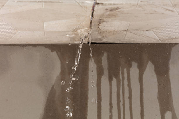 Professional Flood Damage Cleanup technician working in Woodward, IA
